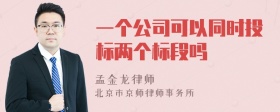 一个公司可以同时投标两个标段吗