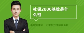 社保2800基数是什么档