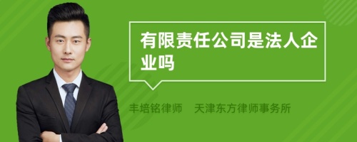 有限责任公司是法人企业吗