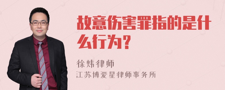 故意伤害罪指的是什么行为？