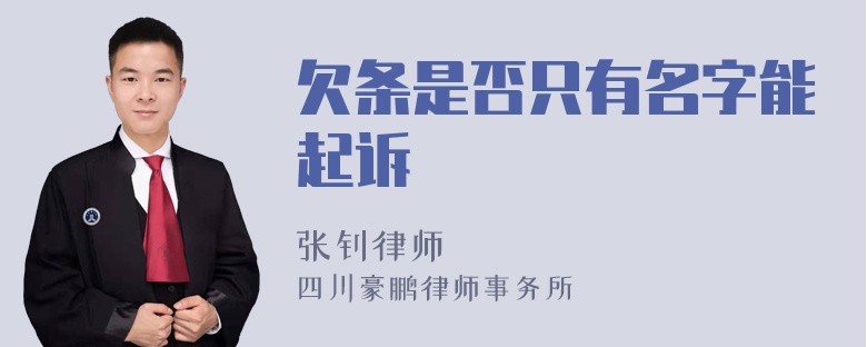 欠条是否只有名字能起诉