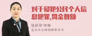 对于侵犯公民个人信息犯罪,罚金数额