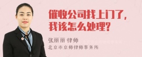 催收公司找上门了,我该怎么处理?