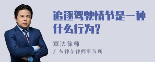 追逐驾驶情节是一种什么行为？