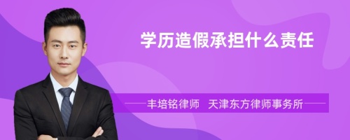 学历造假承担什么责任