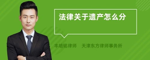 法律关于遗产怎么分