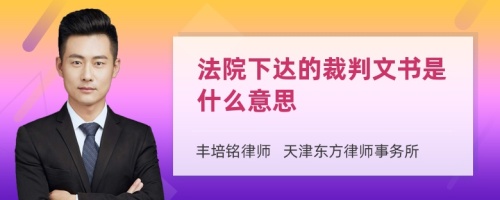 法院下达的裁判文书是什么意思