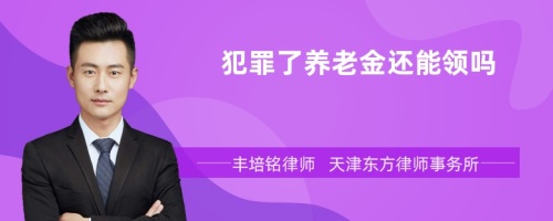 犯罪了养老金还能领吗