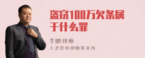 盗窃100万欠条属于什么罪