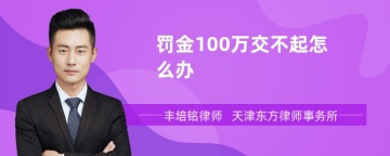 罚金100万交不起怎么办