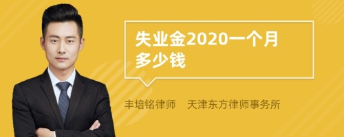 失业金2020一个月多少钱