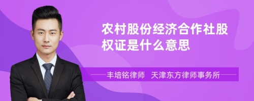 农村股份经济合作社股权证是什么意思