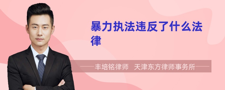 暴力执法违反了什么法律