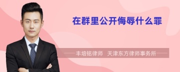 在群里公开侮辱什么罪