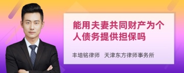 能用夫妻共同财产为个人债务提供担保吗