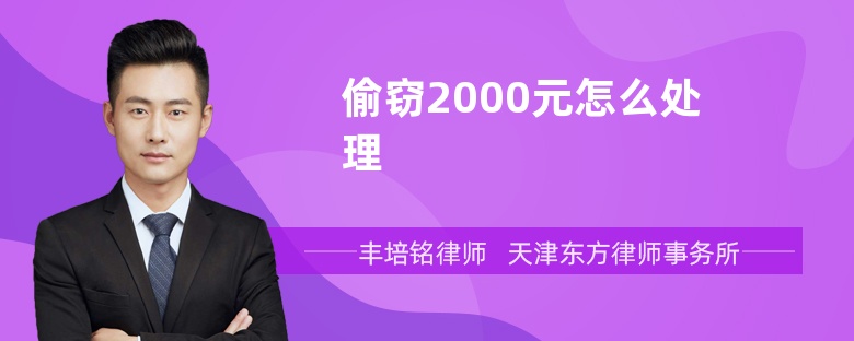 偷窃2000元怎么处理