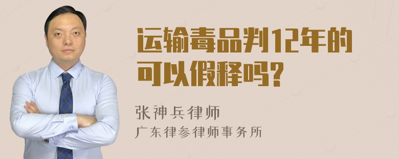 运输毒品判12年的可以假释吗?