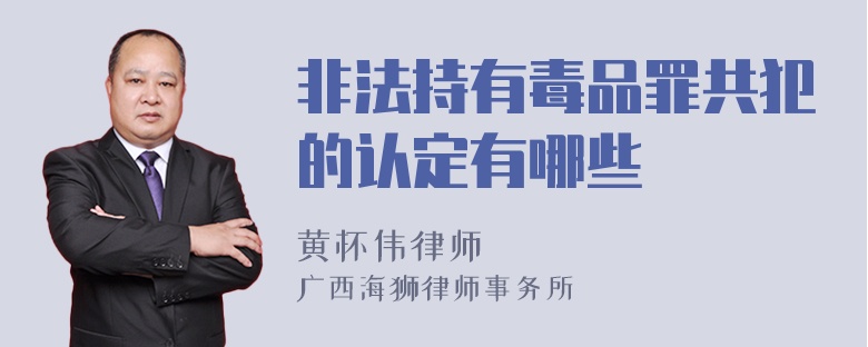 非法持有毒品罪共犯的认定有哪些