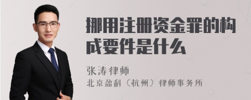 挪用注册资金罪的构成要件是什么