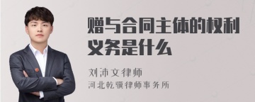 赠与合同主体的权利义务是什么