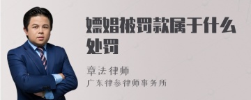 嫖娼被罚款属于什么处罚