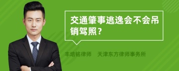 交通肇事逃逸会不会吊销驾照？