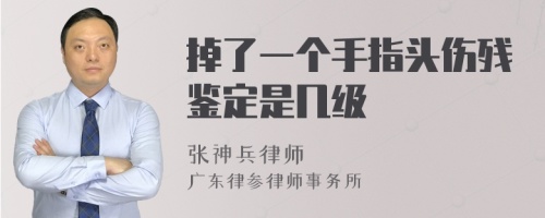 掉了一个手指头伤残鉴定是几级