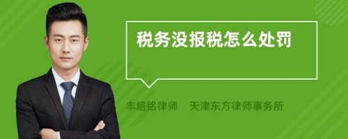 税务没报税怎么处罚