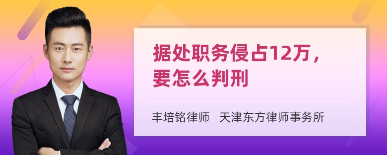 据处职务侵占12万，要怎么判刑