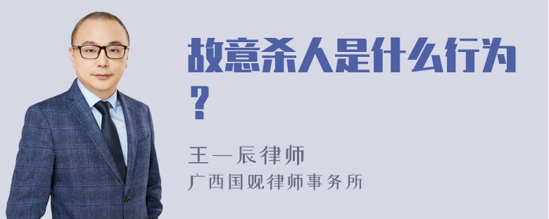 故意杀人是什么行为？