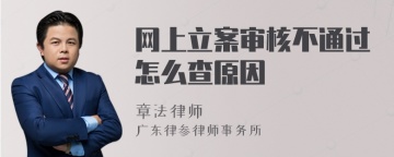 网上立案审核不通过怎么查原因