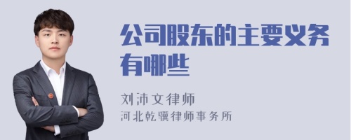 公司股东的主要义务有哪些