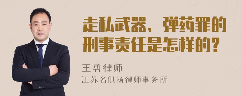 走私武器、弹药罪的刑事责任是怎样的?