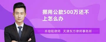 挪用公款500万还不上怎么办