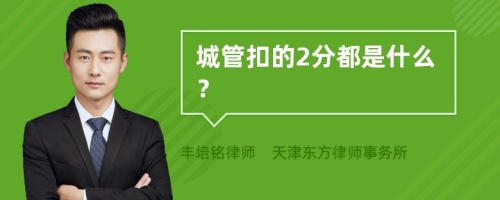 城管扣的2分都是什么？