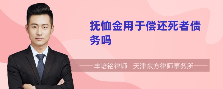 抚恤金用于偿还死者债务吗