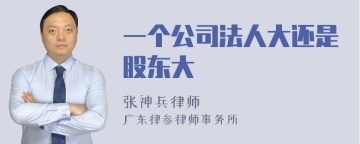 一个公司法人大还是股东大