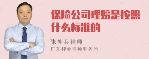 保险公司理赔是按照什么标准的