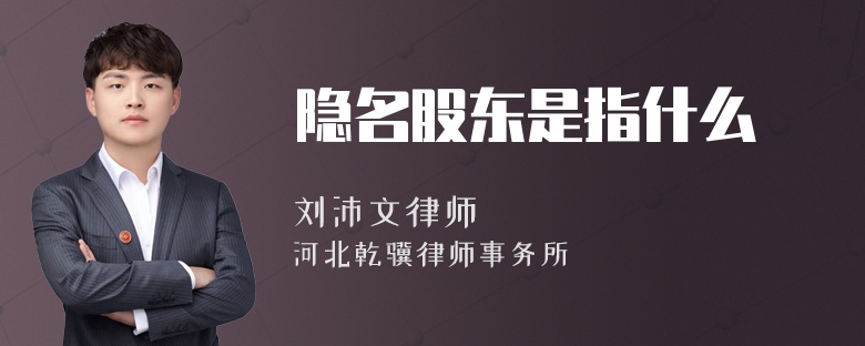 隐名股东是指什么