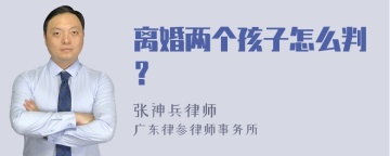 离婚两个孩子怎么判？