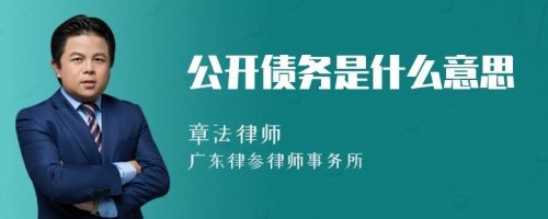 公开债务是什么意思