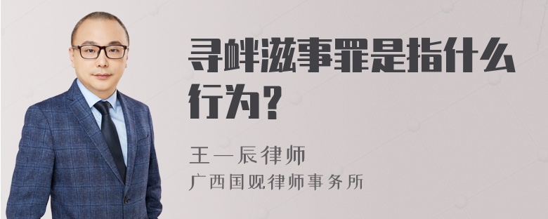 寻衅滋事罪是指什么行为？