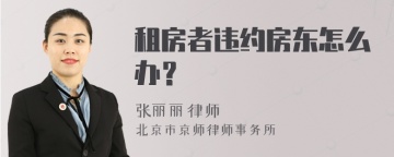 租房者违约房东怎么办？