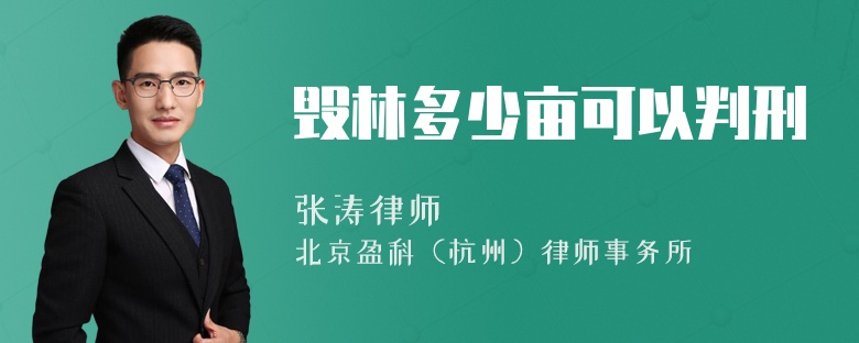 毁林多少亩可以判刑