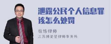 泄露公民个人信息罪该怎么处罚