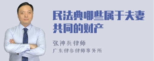 民法典哪些属于夫妻共同的财产