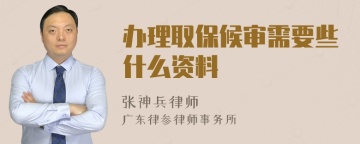 办理取保候审需要些什么资料