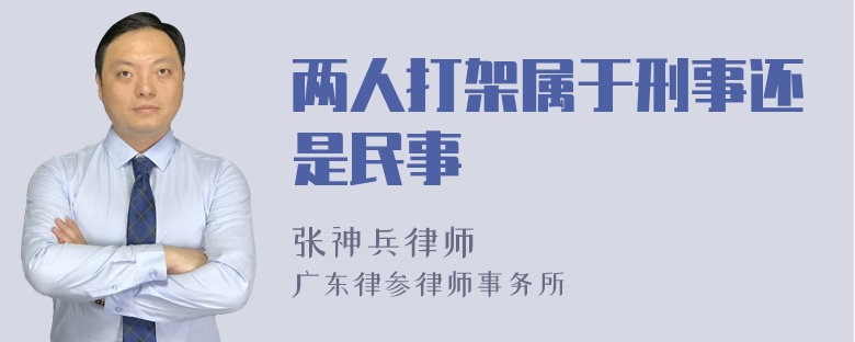 两人打架属于刑事还是民事