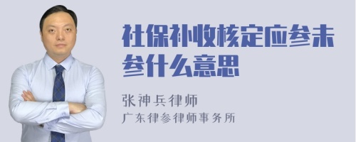 社保补收核定应参未参什么意思