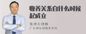 收养关系自什么时候起成立